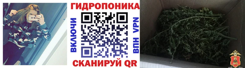 Магазины продажи наркотиков Болхов ссылка на мегу сайт APVP МЕФ МАРИХУАНА