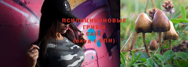 трава Абдулино