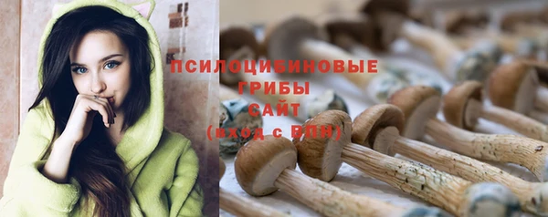 героин Алексин