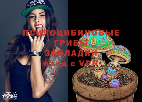 героин Алексин