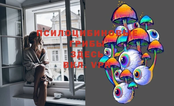 Альфа ПВП Абаза